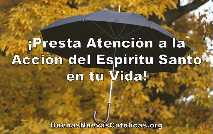 Agosto 6