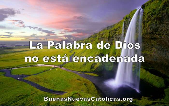 Junio 4
