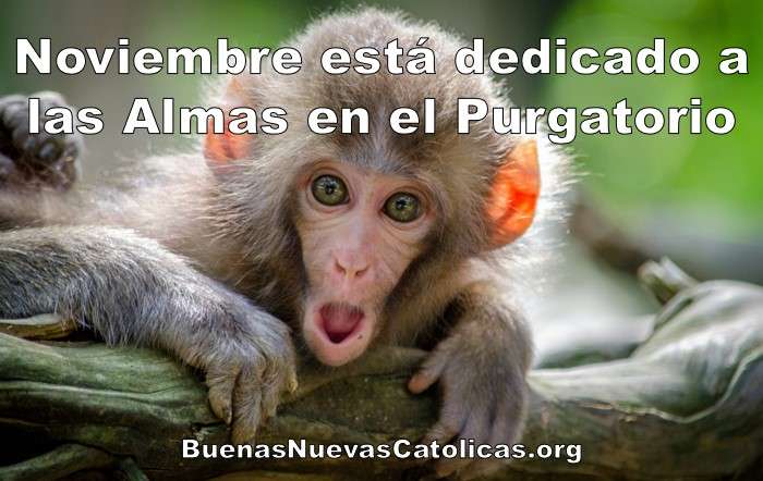 Octubre 30