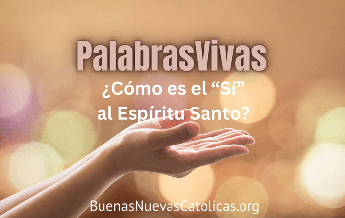 What does Yes to the HS… SP solil