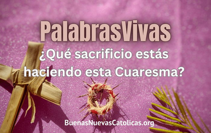 what sacrifice are you making sp