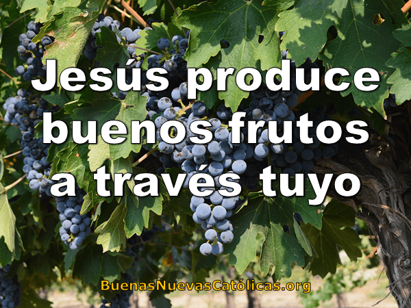 Jesús produce buenos frutos