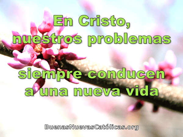 En Cristo nuestros problemas siempre conducen a una nueva vida