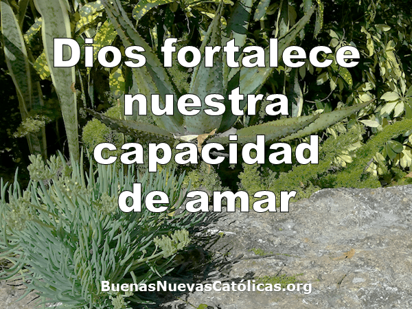 Dios fortalece nuestra capacidad de amar