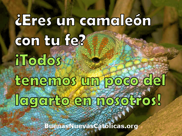 ¿Eres un camaleón con tu fe?