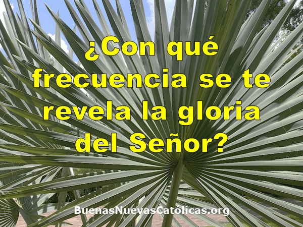 ¿Con qué frecuencia se te revela la gloria del Señor?