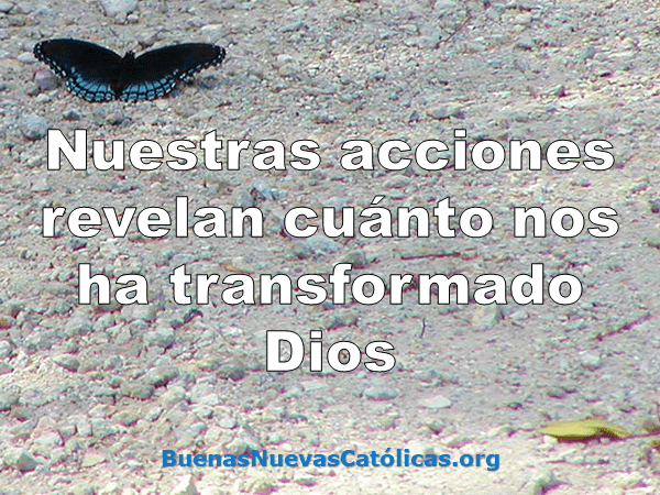 Nuestras acciones revelan