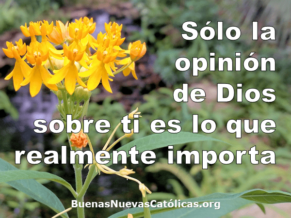 Sólo la opinión de Dios sobre ti