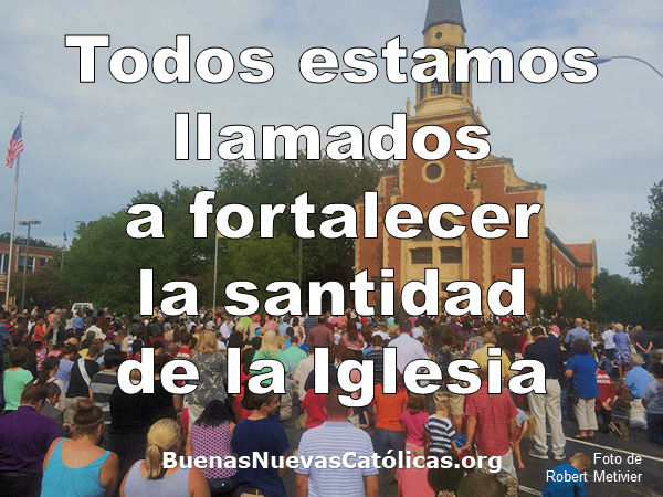 Todos estamos llamados a fortalecer la santidad de la Iglesia