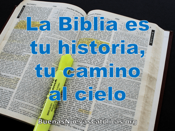 La Biblia es tu historia