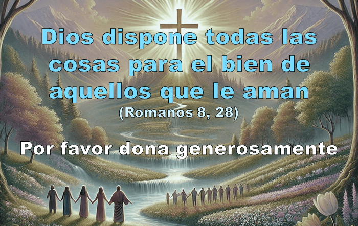 Romans 8-28 sp