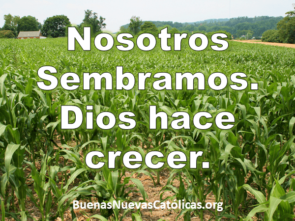 Nosotros sembramos. Dios hace crecer.