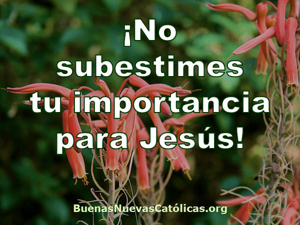 No subestimes tu importancia para Jesús