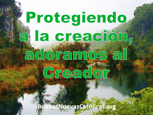 Protegiendo a la creación, adoramos al Creador