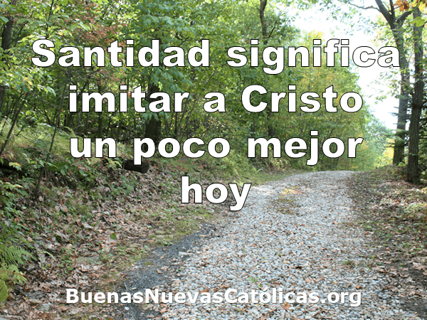 Santidad significa imitar a Cristo