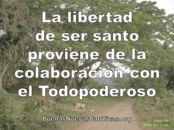 La libertad de ser santo