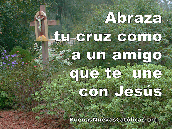 Abraza tu cruz