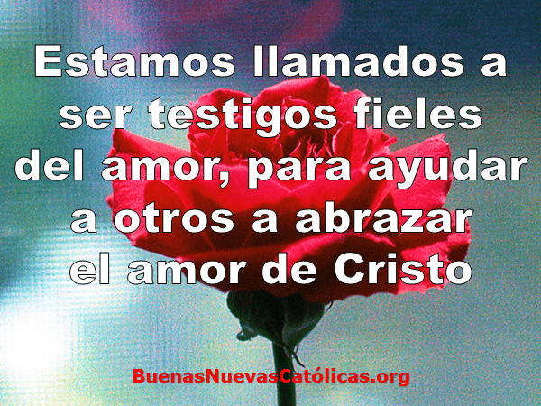 Estamos llamados a ser testigos fieles del amor