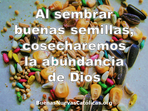 Al sembrar buenas semillas
