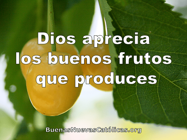 Dios aprecia los buenos frutos que produces