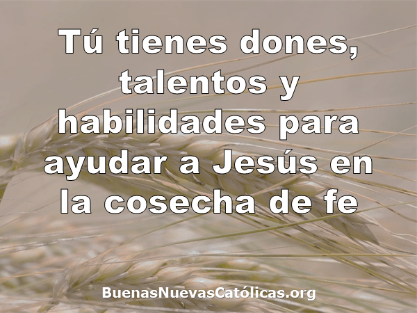Tú tienes dones, talentos y habilidades