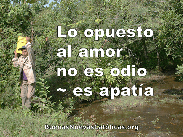 Lo opuesto al amor no es odio - es apatía