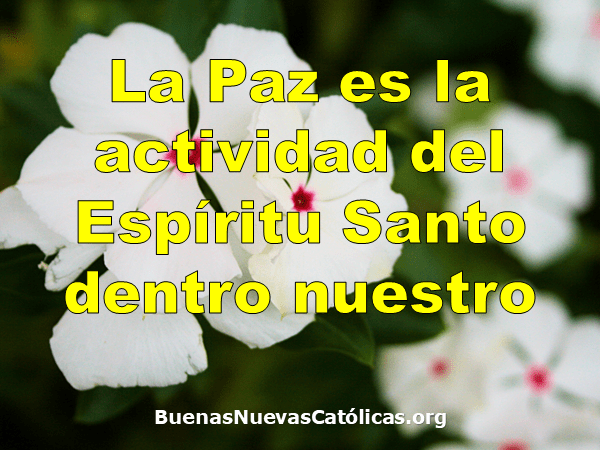 La Paz es la actividad del Espíritu Santo