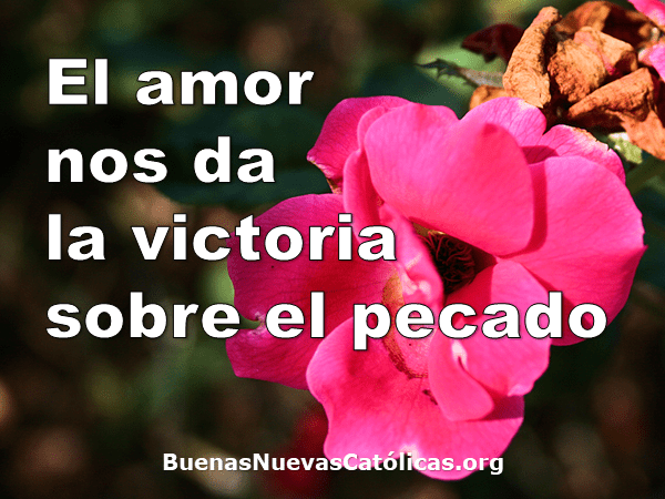 El amor nos da la victoria sobre el pecado