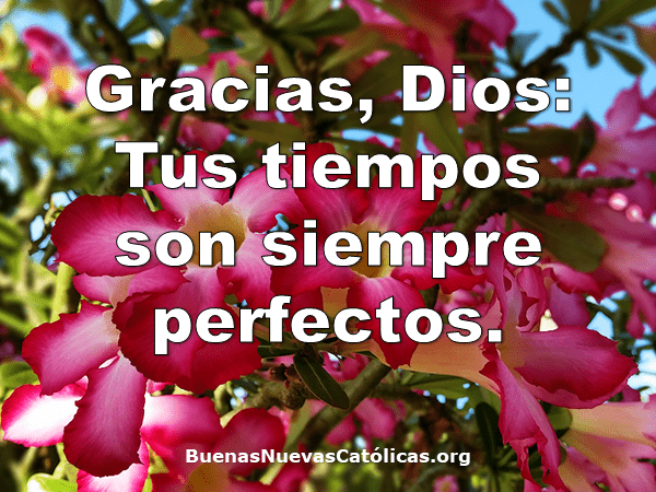 Gracias Dios