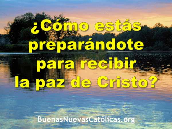 Cómo estás preparándote para recibir la paz de Cristo