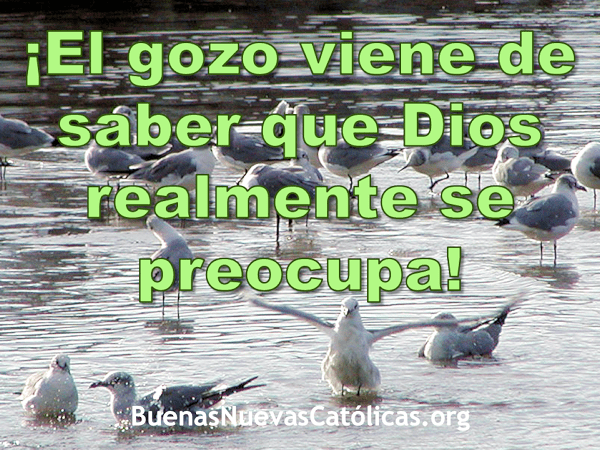 El gozo viene de saber que Dios