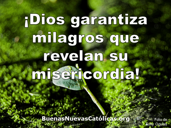 Dios garantiza milagros que revelan su misericordia