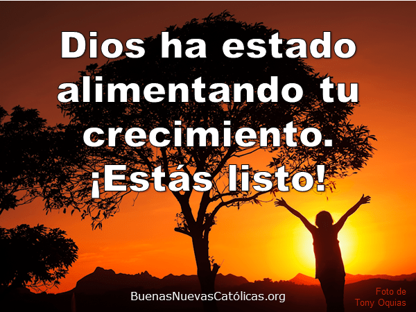 Dios ha estado alimentando tu crecimiento