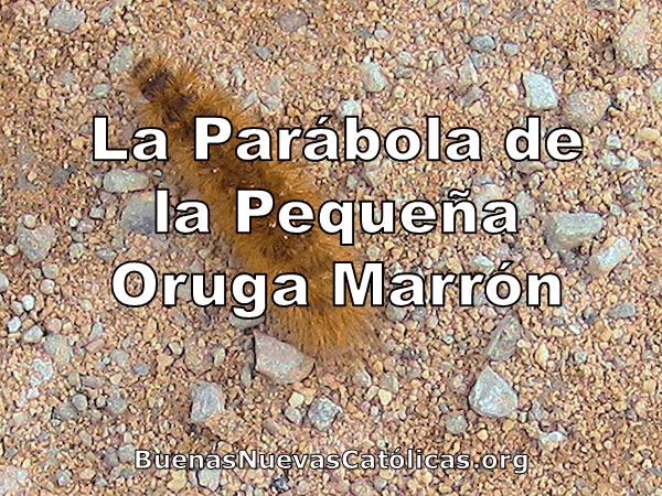La parábola de la pequeña oruga marrón