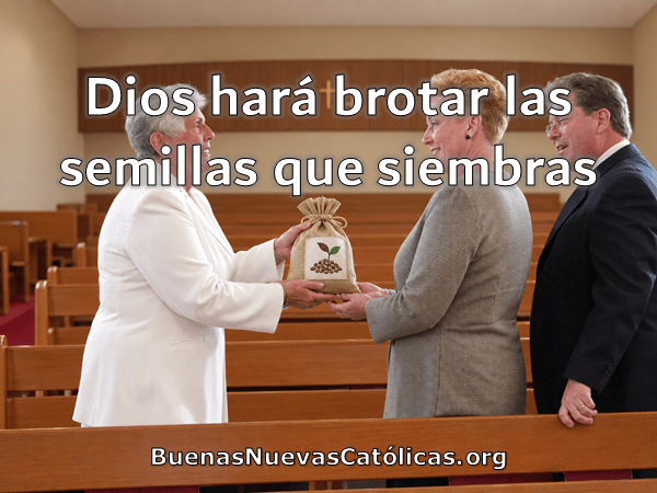 Dios hará brotar las semillas que siembras