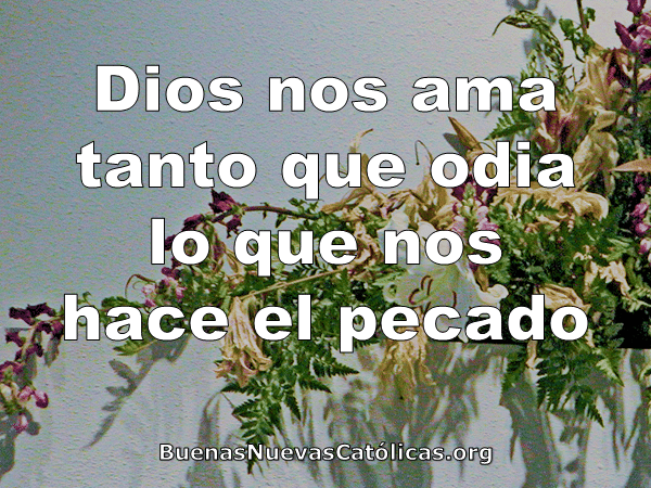 Dios nos ama tanto que odia lo que nos hace el pecado